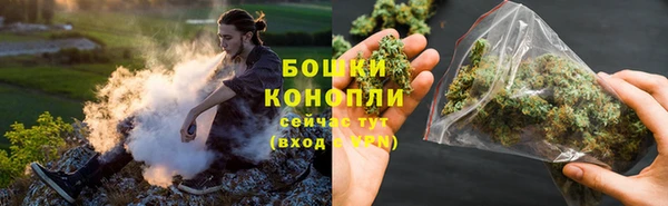 PSILOCYBIN Бородино