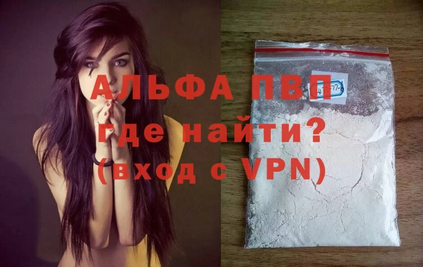 PSILOCYBIN Бородино