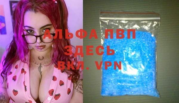 PSILOCYBIN Бородино