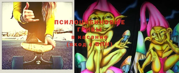 PSILOCYBIN Бородино