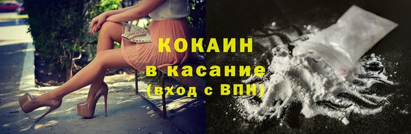 PSILOCYBIN Бородино