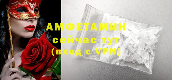 PSILOCYBIN Бородино
