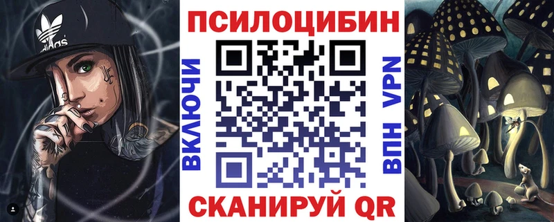 Галлюциногенные грибы Psilocybe  Купить где  Волоколамск 